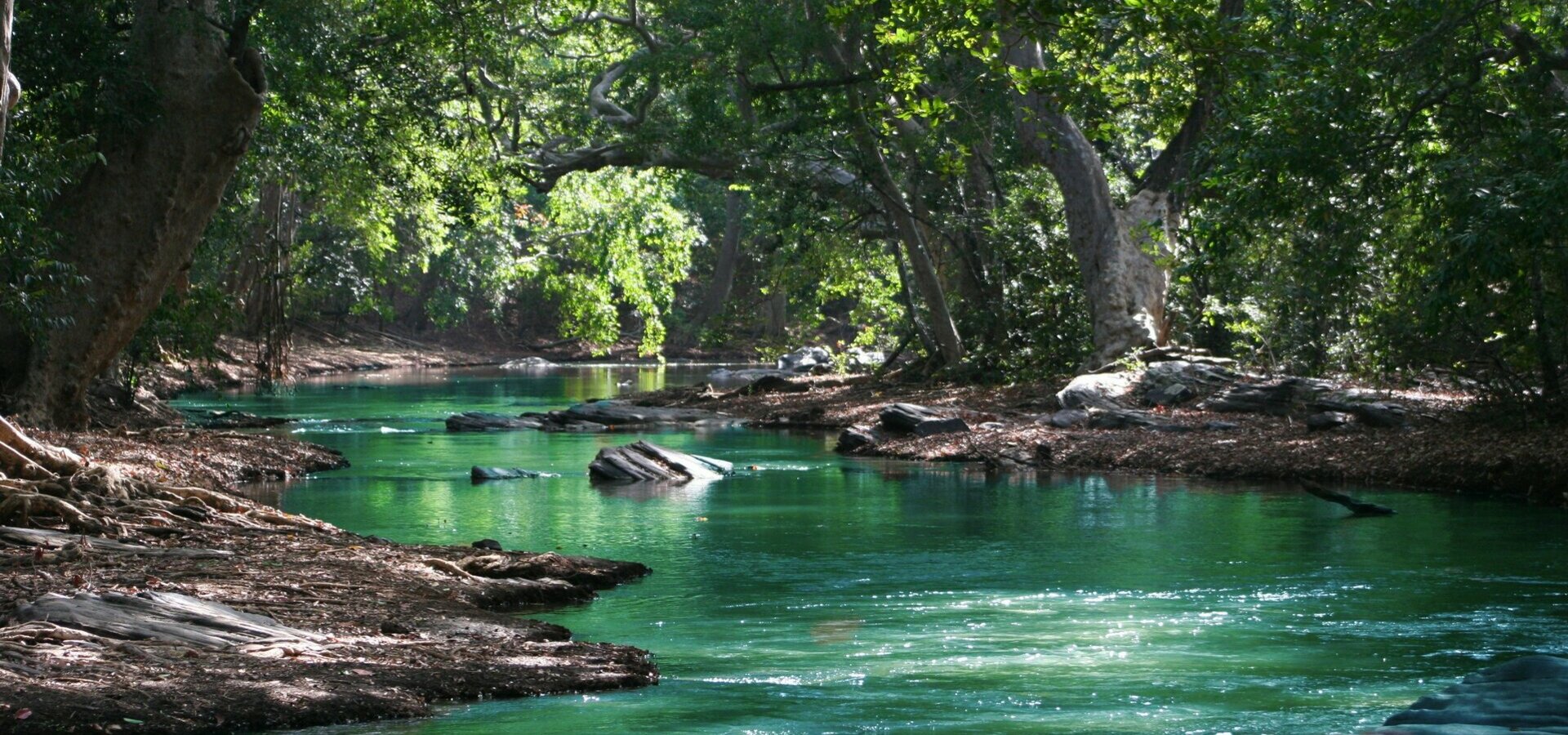 Assainissement ANC Réutilisation des eaux usées REUT Protection captage